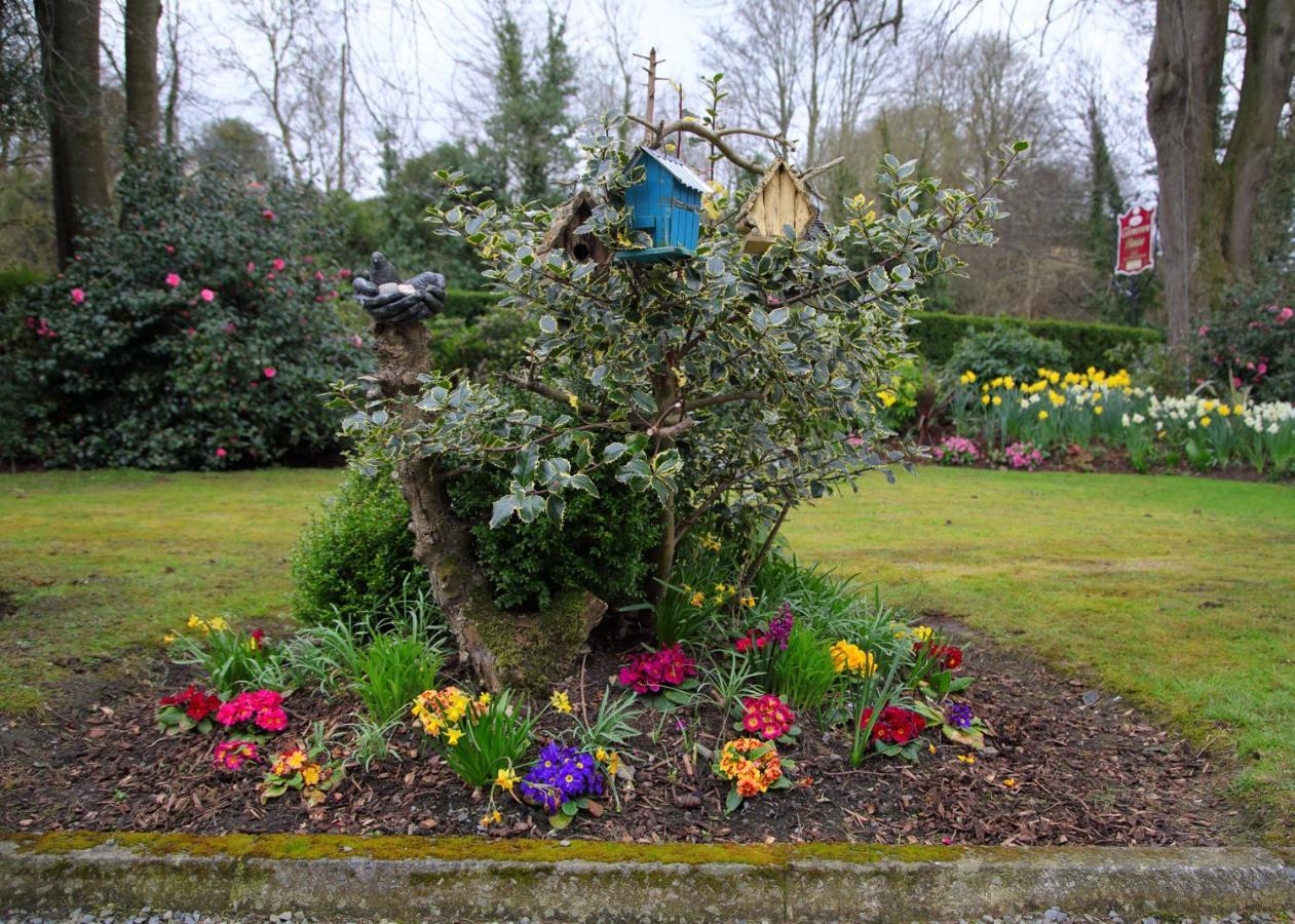 Gleneven Guest House Inniskeen Buitenkant foto
